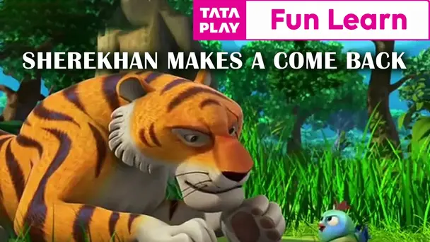 ShereKhan makes a Come back